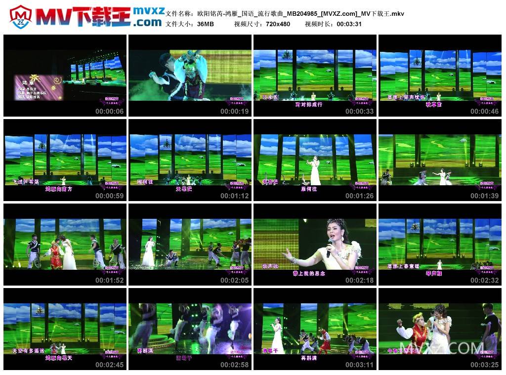 欧阳铭芮-鸿雁_国语_流行歌曲_MB204985